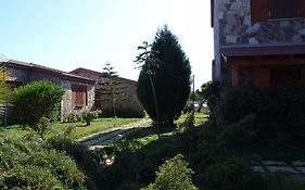 Il Gabbiano